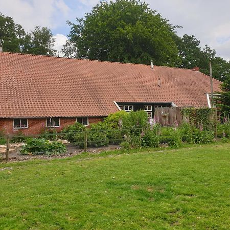 Westert Hoeve Vriescheloo Esterno foto