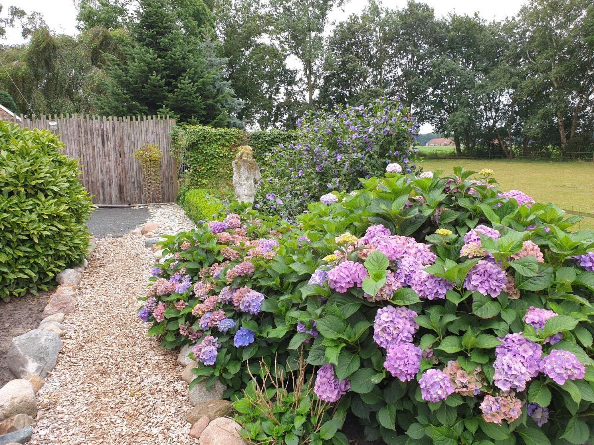 Westert Hoeve Vriescheloo Esterno foto