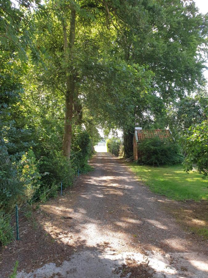 Westert Hoeve Vriescheloo Esterno foto