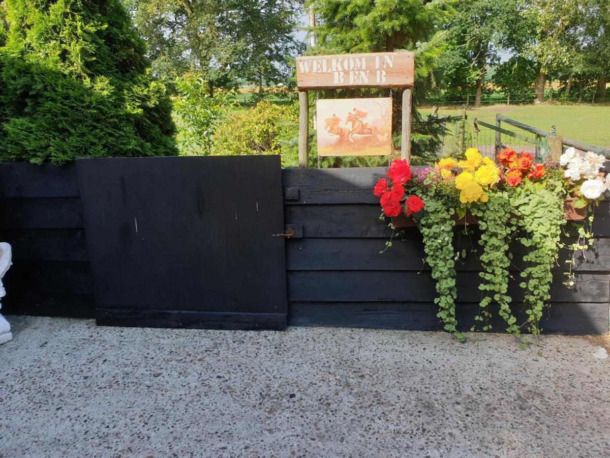 Westert Hoeve Vriescheloo Esterno foto